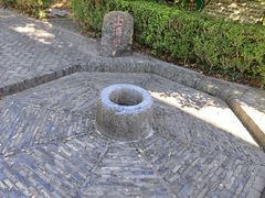 -上海佘山国家森林公园天马山园