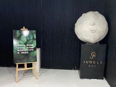 -Jungle Nat 高空餐厅