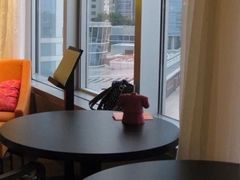 厦门海港英迪格酒店-厦门海港英迪格酒店(中山路店)