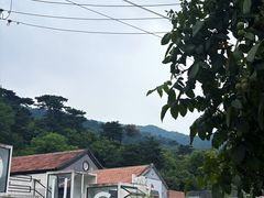 -Local泰莲庭(虹鳟鱼店)