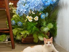 -初甜·舒芙蕾·韩式雪花冰(流塘店)