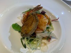 -蝶舍·MAISON PAPILLON