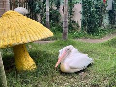 -正佳雨林生态植物园