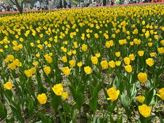 -长春公园(普阳街道)