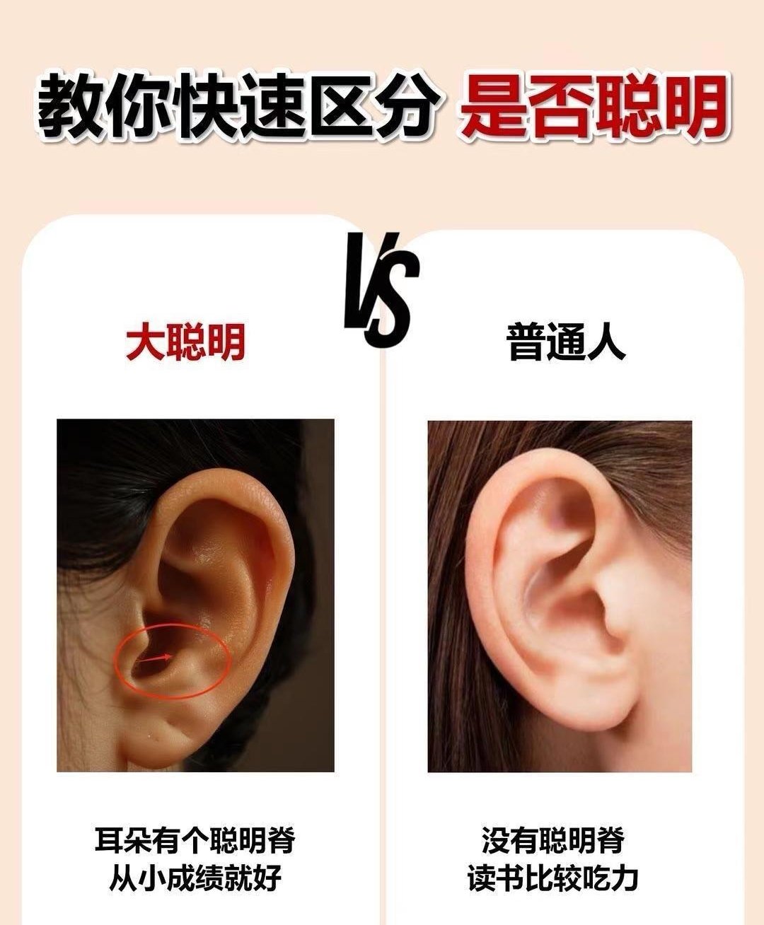 你准备好了吗?冷知识来袭