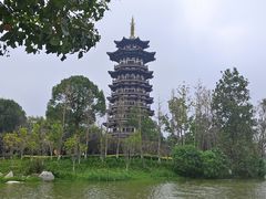 -洋湖国家湿地公园