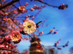 -安徽八里河旅游区