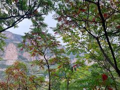 -沕沕水生态风景区