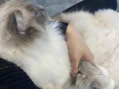 -零纪元VR体验馆·桌游(黄浦店)