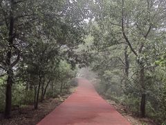 -敬亭山风景名胜区