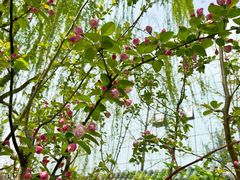 -元大都城垣遗址公园