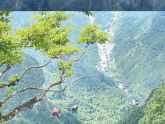 -张家界天门山国家森林公园