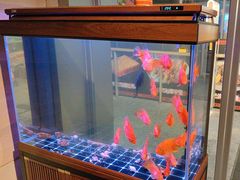 -火塘云南烧烤大排档