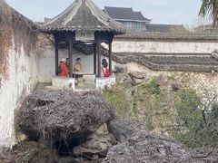 -何园