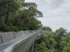 -梅峰山地公园