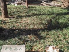 -西园戒幢律寺