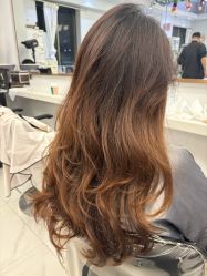 -镁连社·美联社