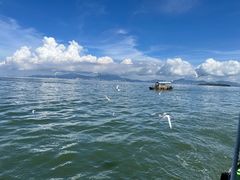 -巽寮湾
