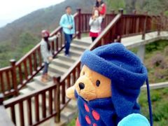 android_upload_pic-广州市石门国家森林公园