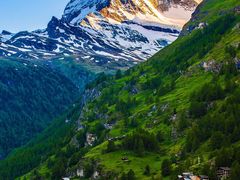 -厦门庐山大酒店