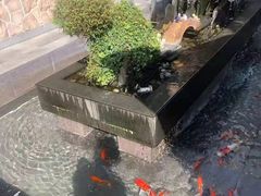 -辉哥火锅(虹桥路店)