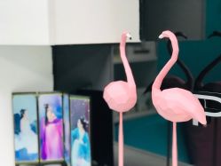 -斐尔国际皮肤管理中心