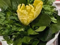 -草原传奇鲜羊火锅(桥北店)