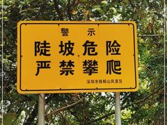 -梧桐山风景名胜区