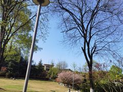 -铁山坪森林公园