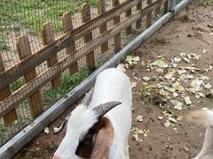 -潭柘厚院&山顶烤肉(潭柘寺店)