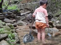 -火炉山森林公园