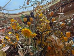 -BEAST野兽派(上海浦东嘉里城店)