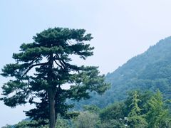 -秦岭终南山世界地质公园翠华山景区