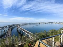-星海湾跨海大桥
