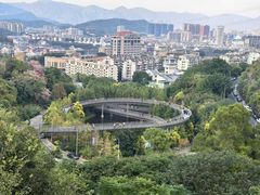 -福道