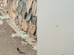 -丁香湖公园