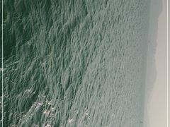 -演武大桥观景平台