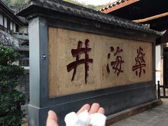 -燊海井
