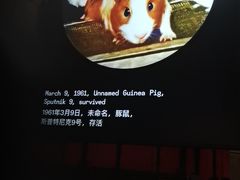 -上海当代艺术博物馆