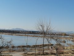 -绿堤公园