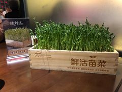 -捞神煲汤火锅(湖滨商业街店)