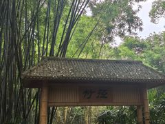 -大屏嶂森林公园