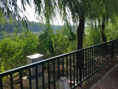 -亲兄弟真人CS团建拓展基地