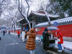 -北京国子监胡同