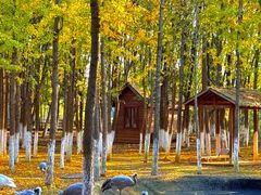 -艾溪湖湿地公园