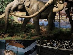 -湖南省地质博物馆