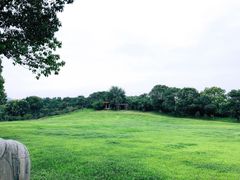 -雨花胜境