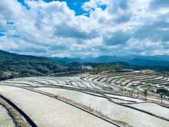 -牙胡梯田景区