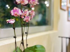 -花二家·生活馆(六运小区店)