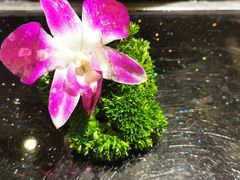 -鼎盛山海火锅(北戴河刘庄夜市老虎石浴场店)